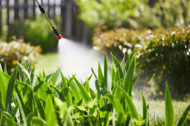 24/7 Emergency Wasp Removal experts in Shawnee Hills, OH
